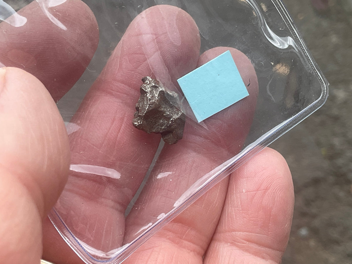 Campo del Cielo Meteorite Specimen Pack A