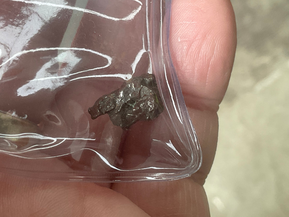 Campo del Cielo Meteorite Specimen Pack C