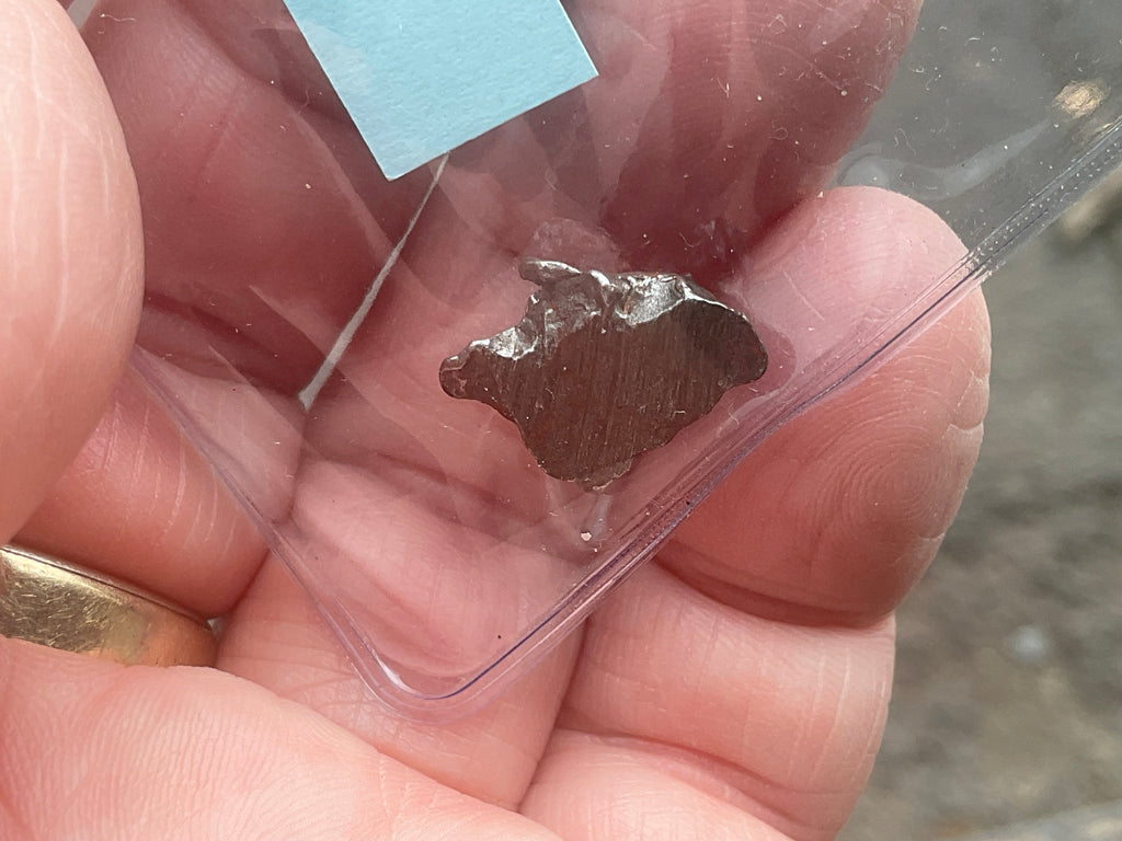 Campo del Cielo Meteorite Specimen Pack D