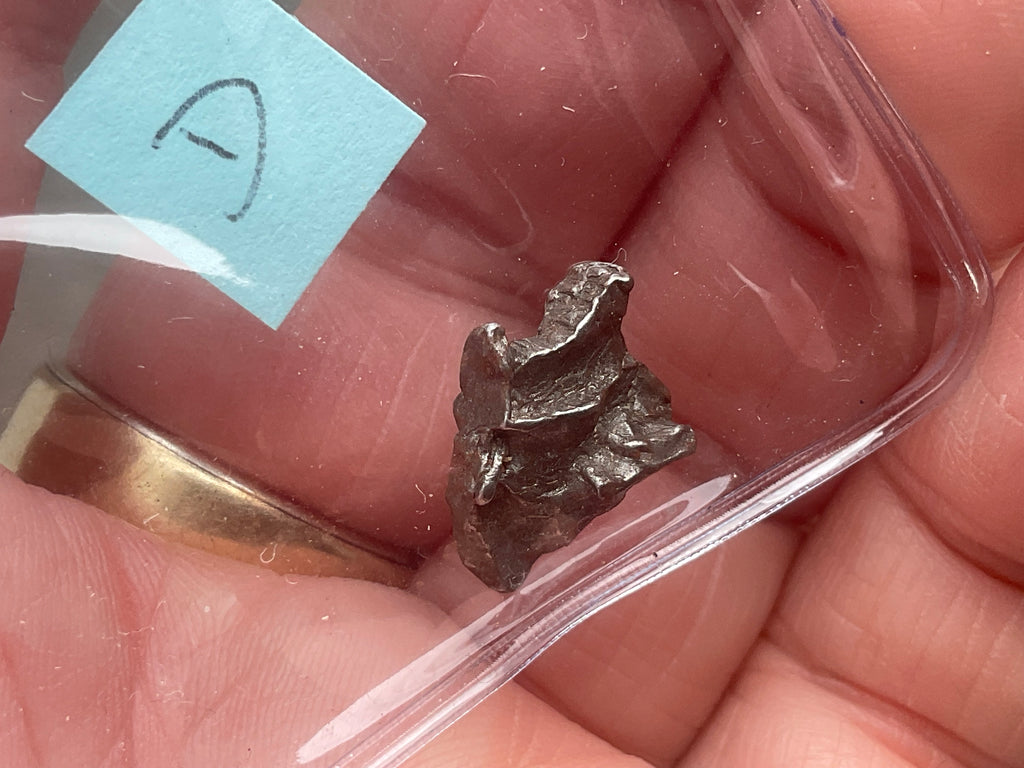 Campo del Cielo Meteorite Specimen Pack D
