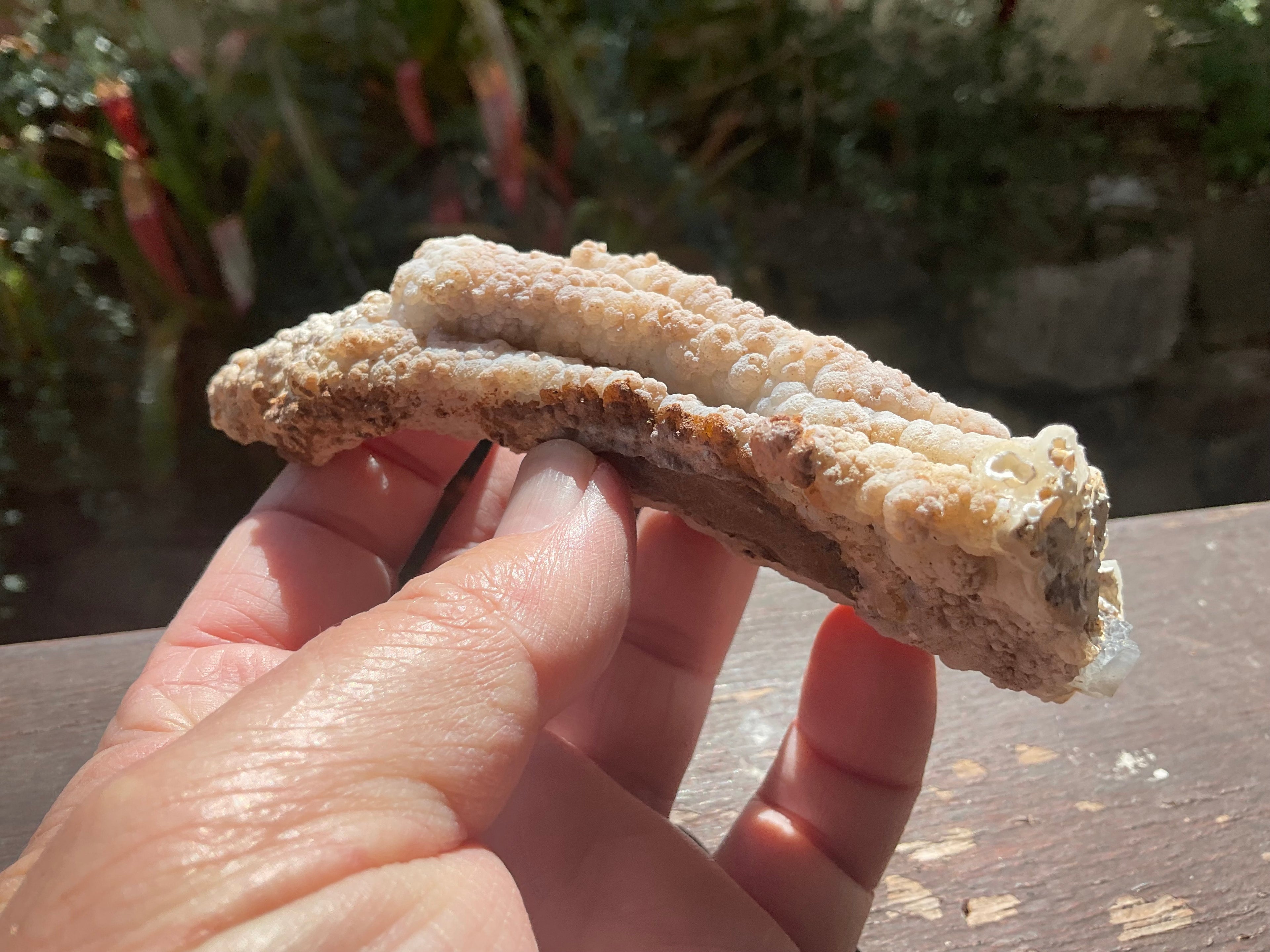 106g Chalcedony Stalactite