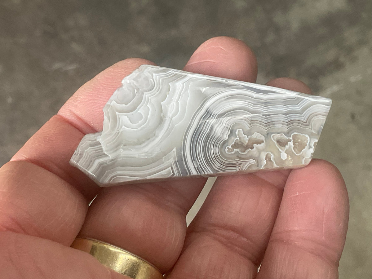 16g Mexican Crazy Lace Agate Thin Freeform 8A