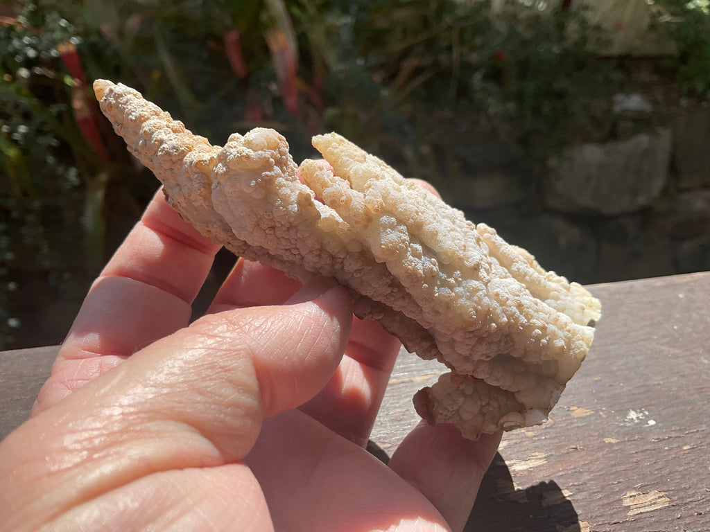 106g Chalcedony Stalactite