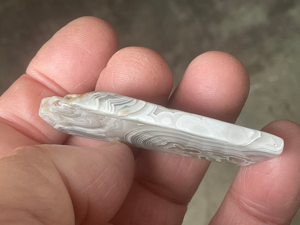 16g Mexican Crazy Lace Agate Thin Freeform 8A