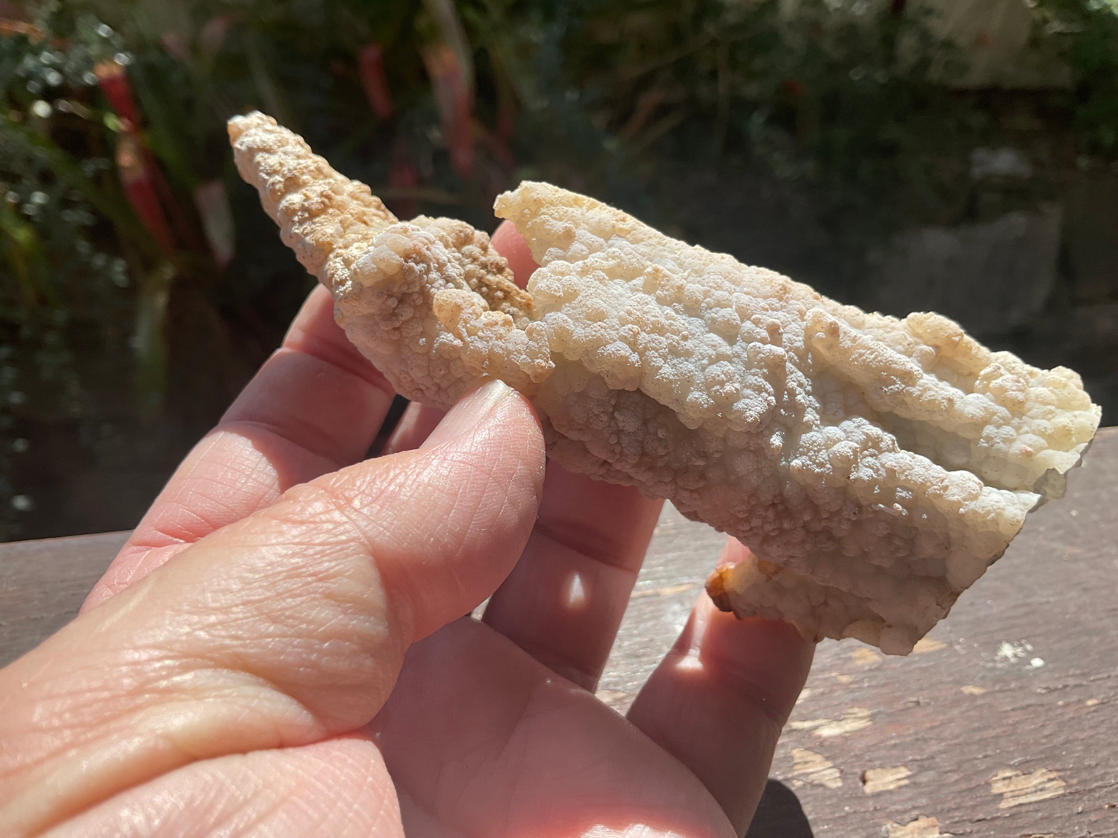 106g Chalcedony Stalactite