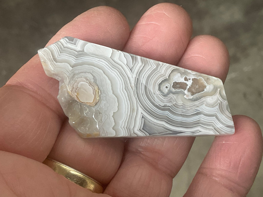 16g Mexican Crazy Lace Agate Thin Freeform 8A