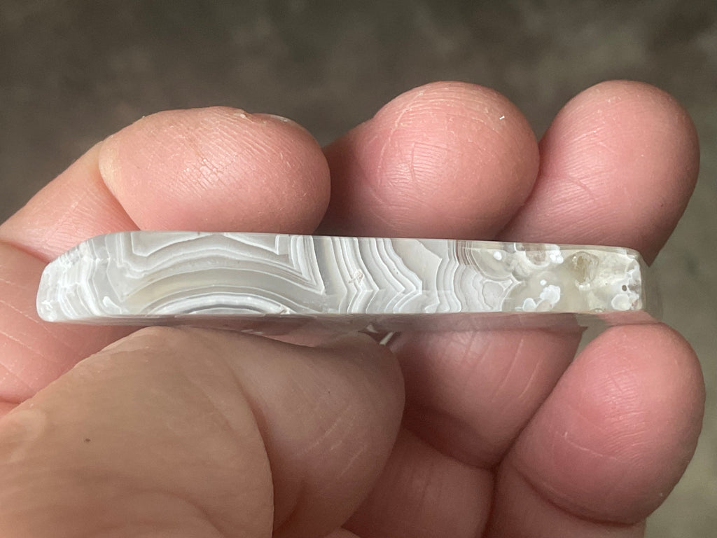 16g Mexican Crazy Lace Agate Thin Freeform 8A