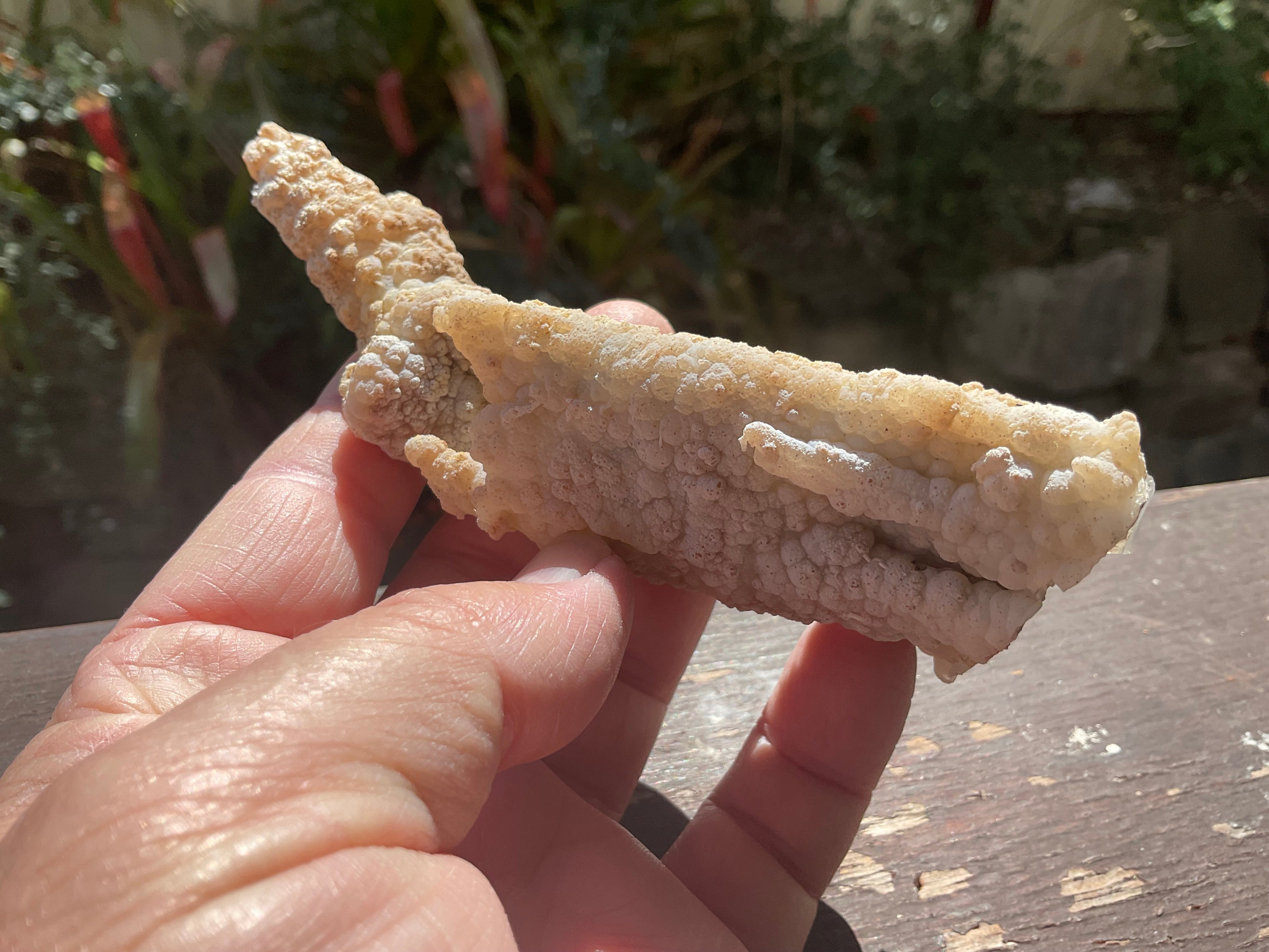 106g Chalcedony Stalactite