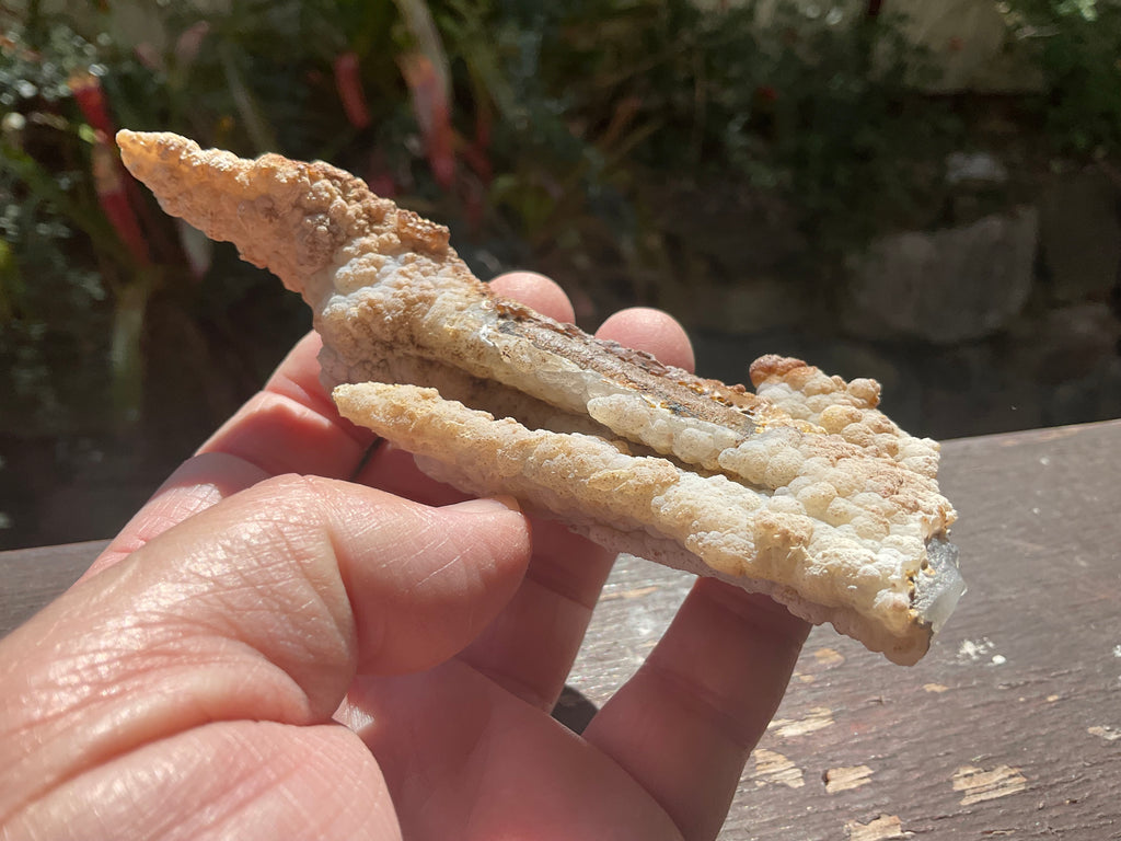 106g Chalcedony Stalactite