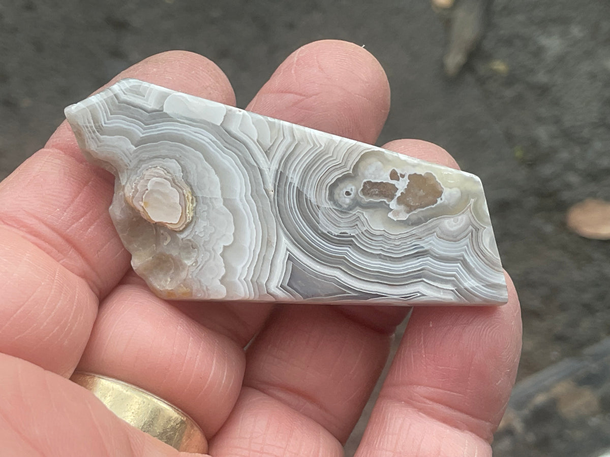 16g Mexican Crazy Lace Agate Thin Freeform 8A