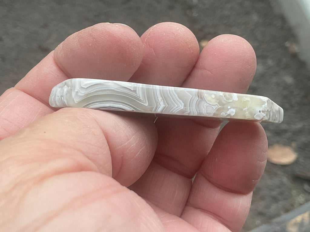 16g Mexican Crazy Lace Agate Thin Freeform 8A
