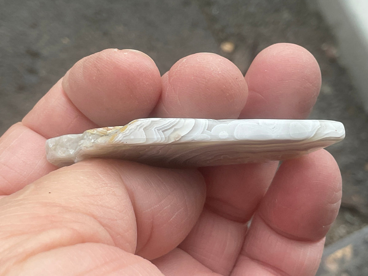 16g Mexican Crazy Lace Agate Thin Freeform 8A