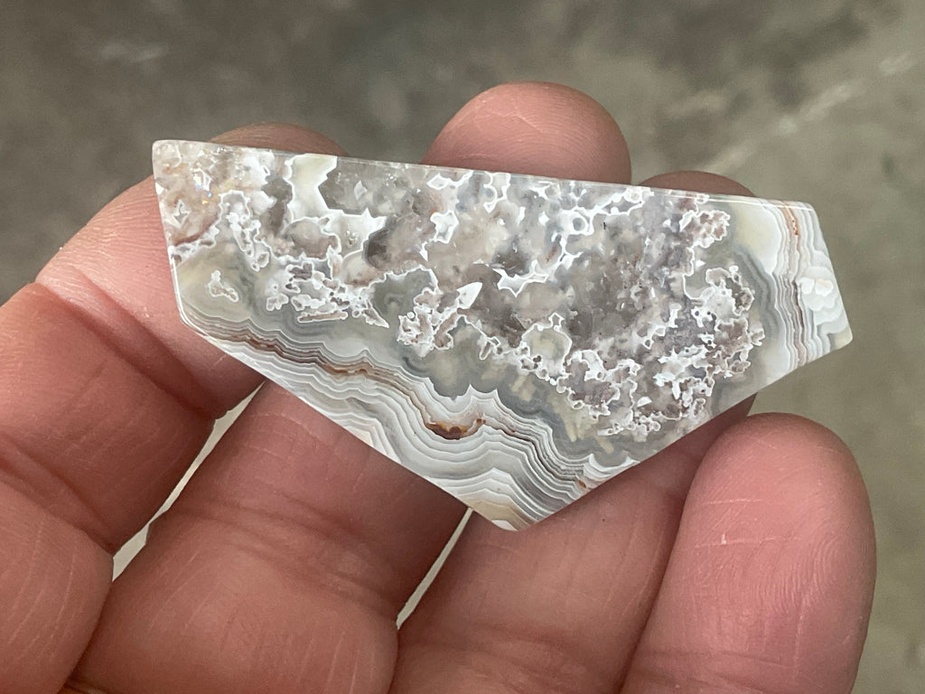 17g Mexican Crazy Lace Agate Thin Freeform 8B