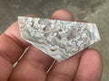 17g Mexican Crazy Lace Agate Thin Freeform 8B