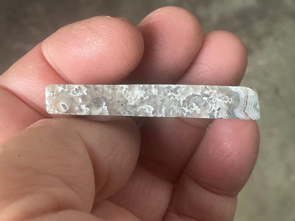 17g Mexican Crazy Lace Agate Thin Freeform 8B