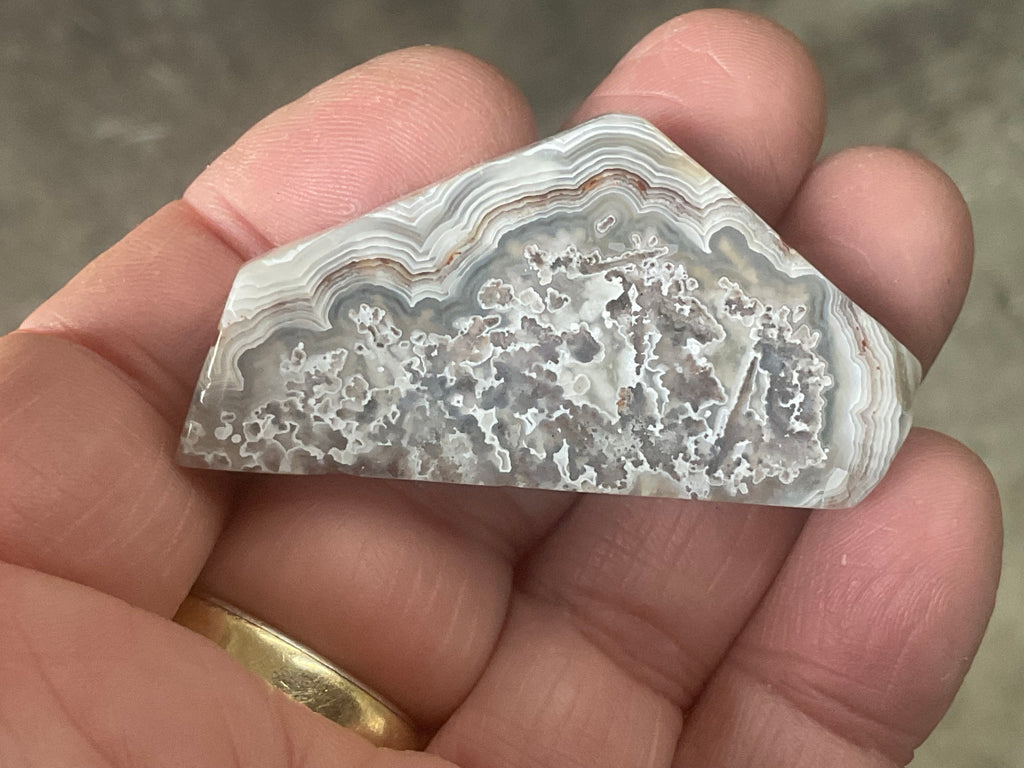 17g Mexican Crazy Lace Agate Thin Freeform 8B