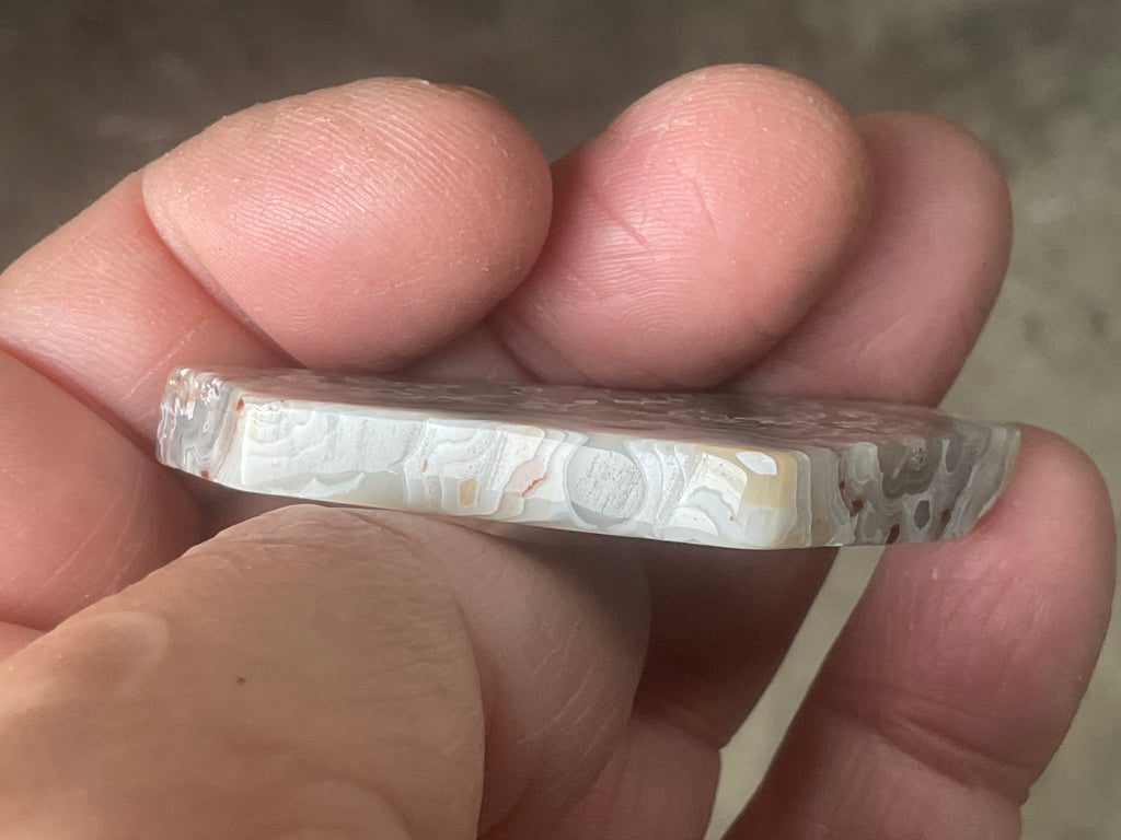 17g Mexican Crazy Lace Agate Thin Freeform 8B
