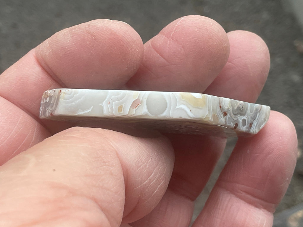 17g Mexican Crazy Lace Agate Thin Freeform 8B