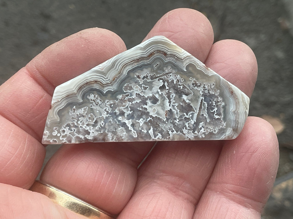 17g Mexican Crazy Lace Agate Thin Freeform 8B