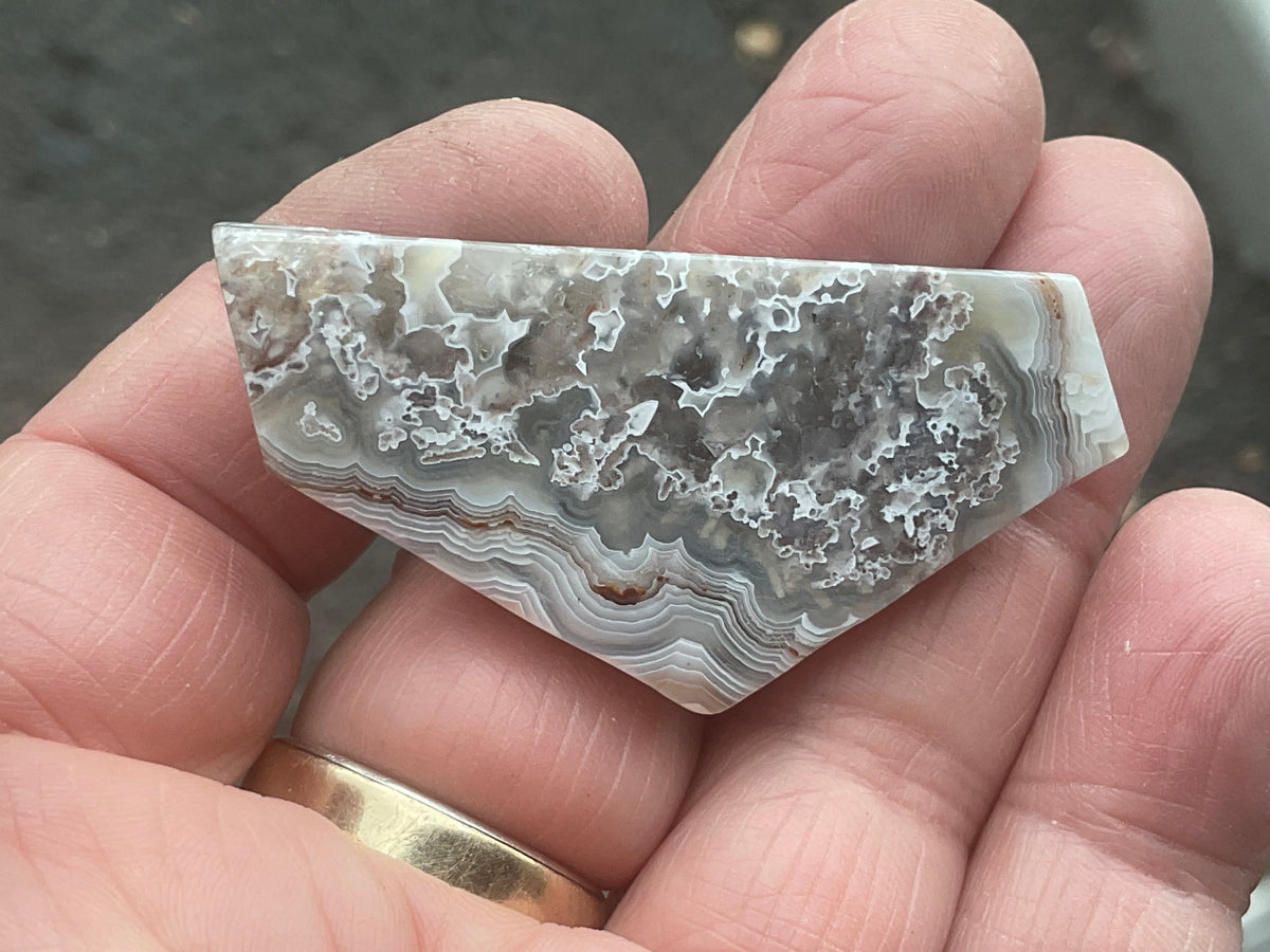 17g Mexican Crazy Lace Agate Thin Freeform 8B