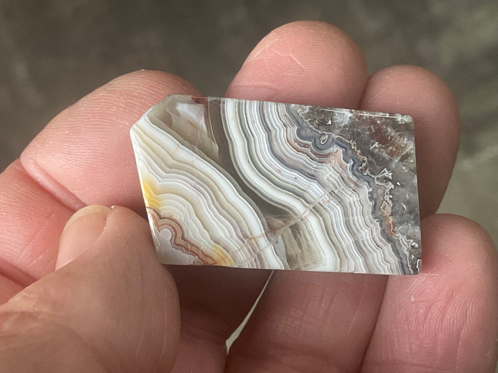 15g Thin Mexican Crazy Lace Agate Freeform 8C