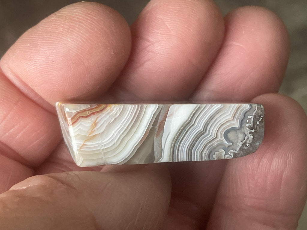15g Thin Mexican Crazy Lace Agate Freeform 8C