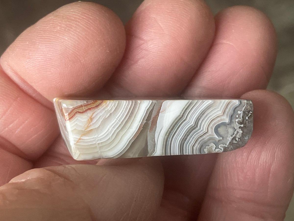 15g Thin Mexican Crazy Lace Agate Freeform 8C
