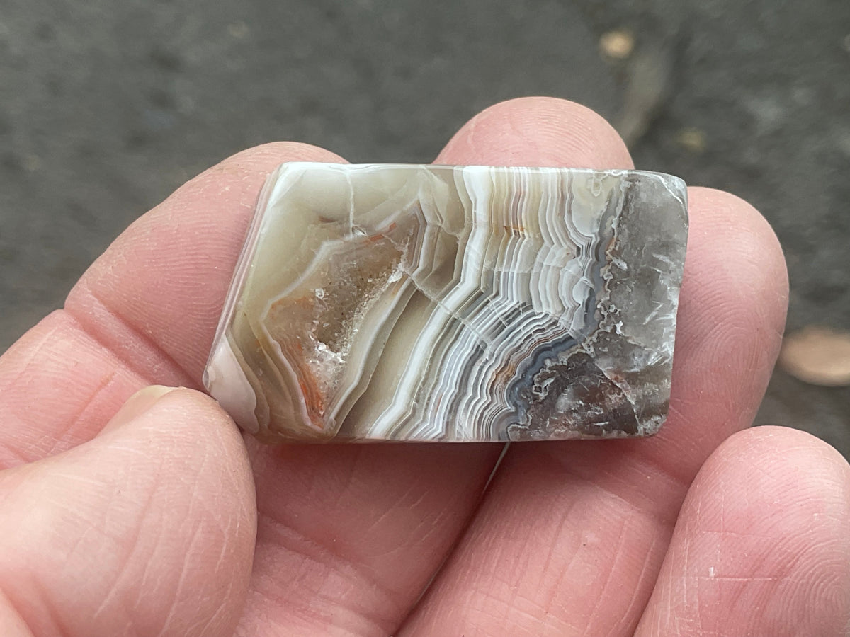 15g Thin Mexican Crazy Lace Agate Freeform 8C