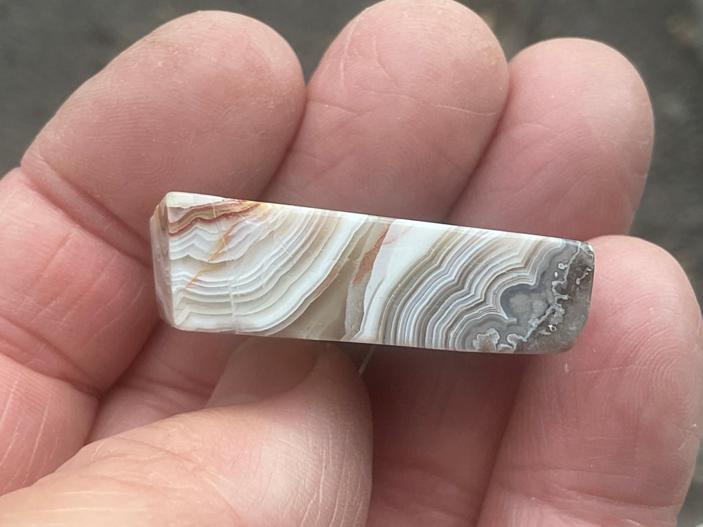 15g Thin Mexican Crazy Lace Agate Freeform 8C