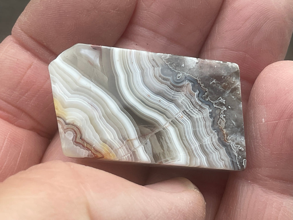 15g Thin Mexican Crazy Lace Agate Freeform 8C