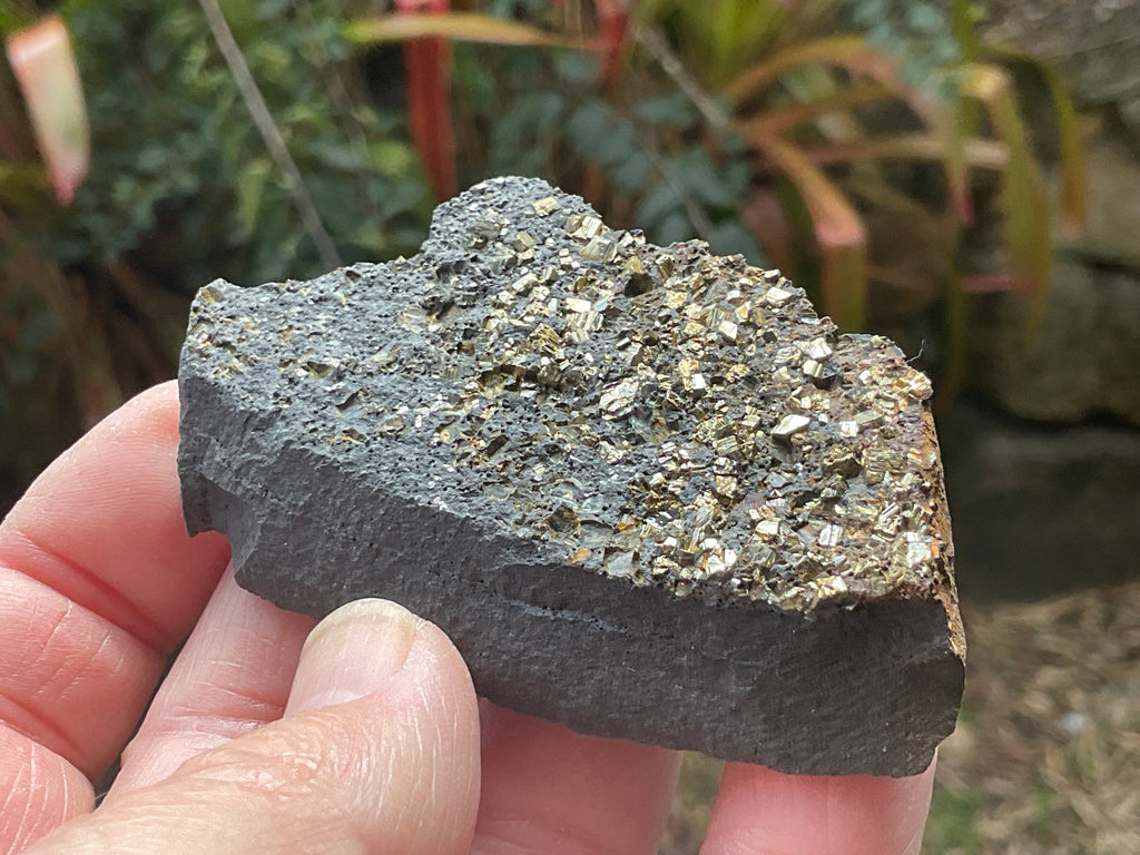 44g Tasmanian Cubic Pyrite Specimen 1A
