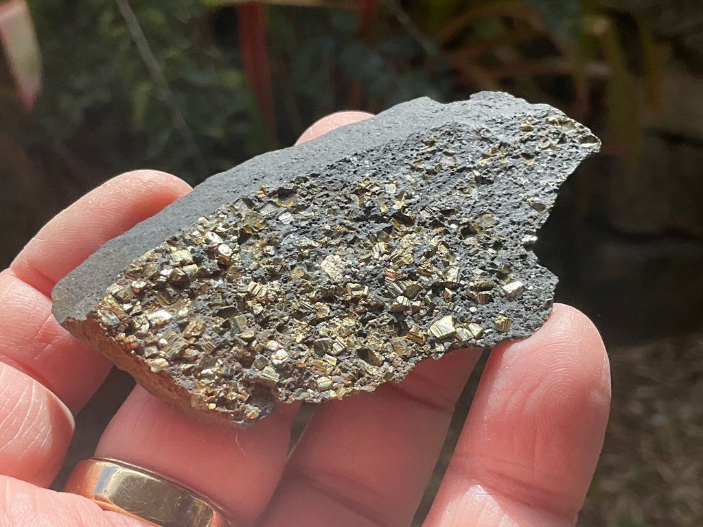 44g Tasmanian Cubic Pyrite Specimen 1A