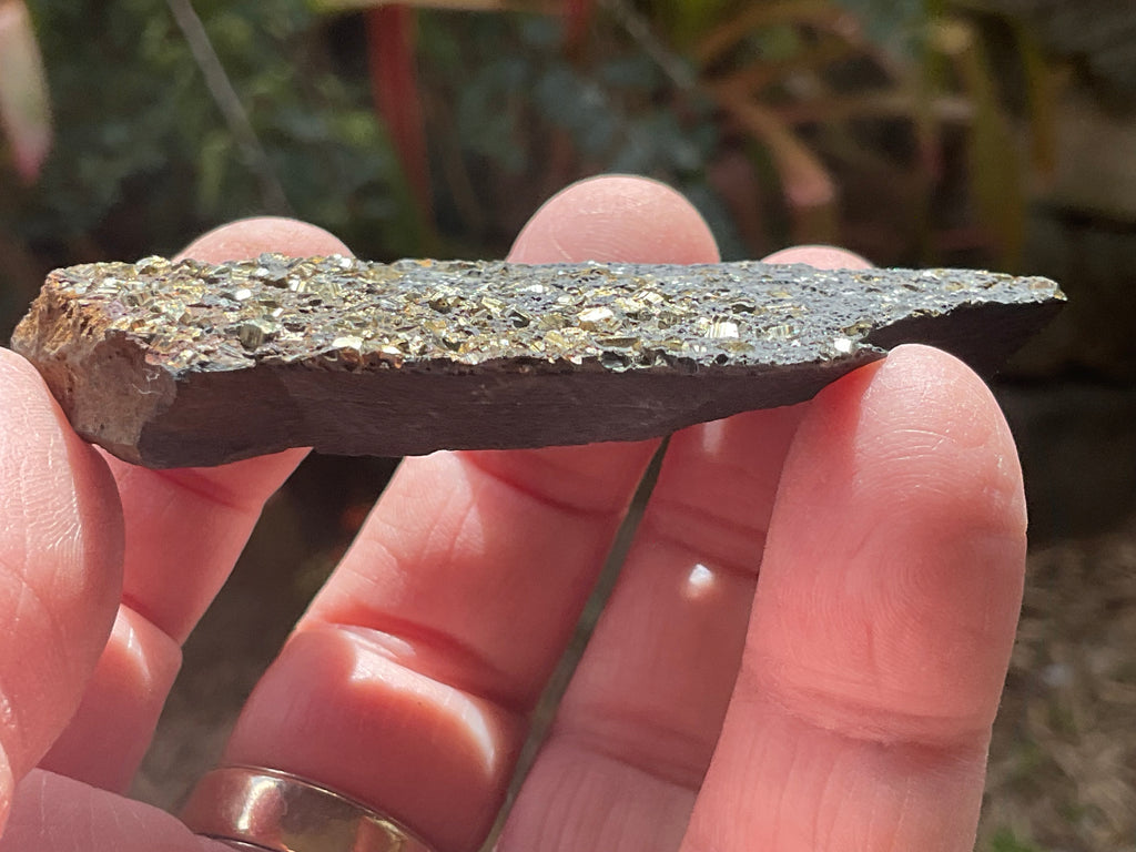 44g Tasmanian Cubic Pyrite Specimen 1A