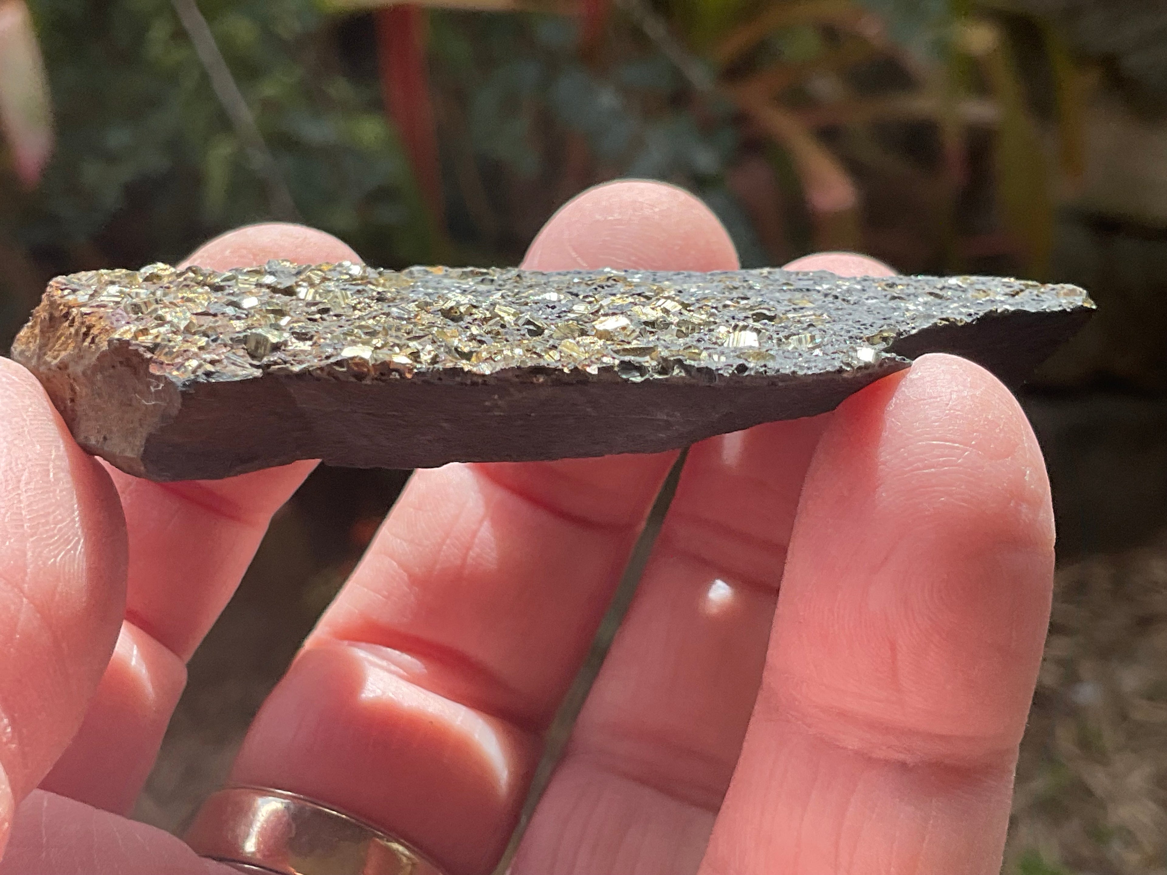 44g Tasmanian Cubic Pyrite Specimen 1A