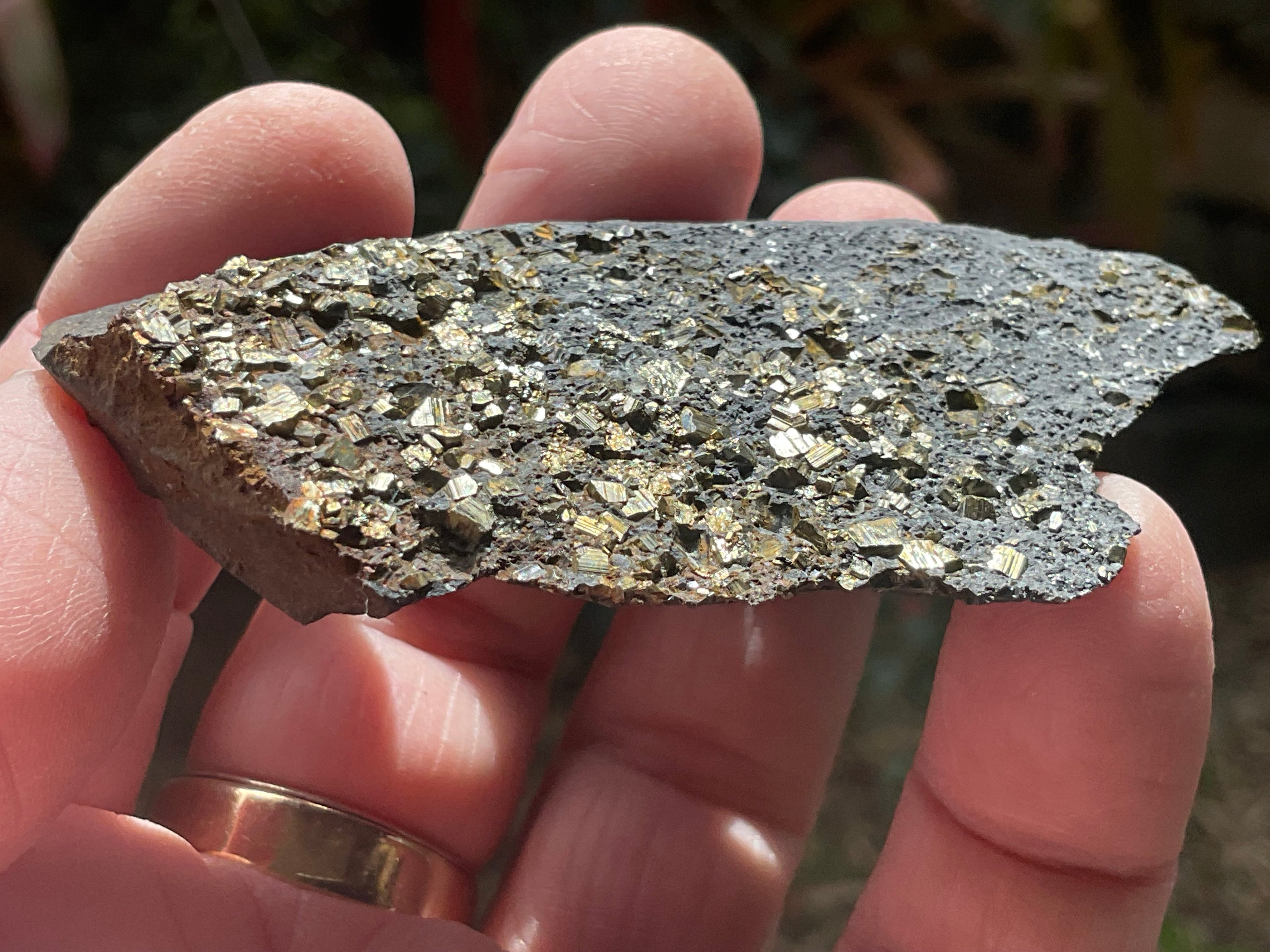 44g Tasmanian Cubic Pyrite Specimen 1A