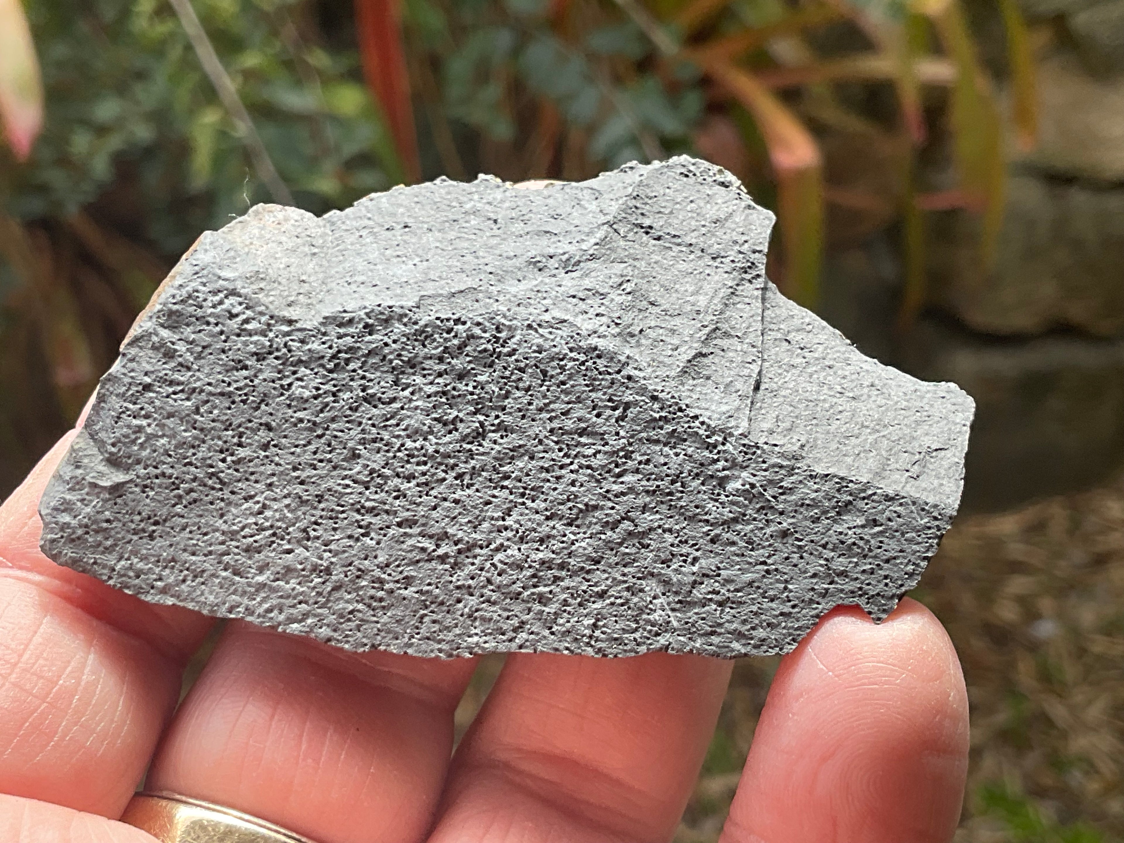 44g Tasmanian Cubic Pyrite Specimen 1A
