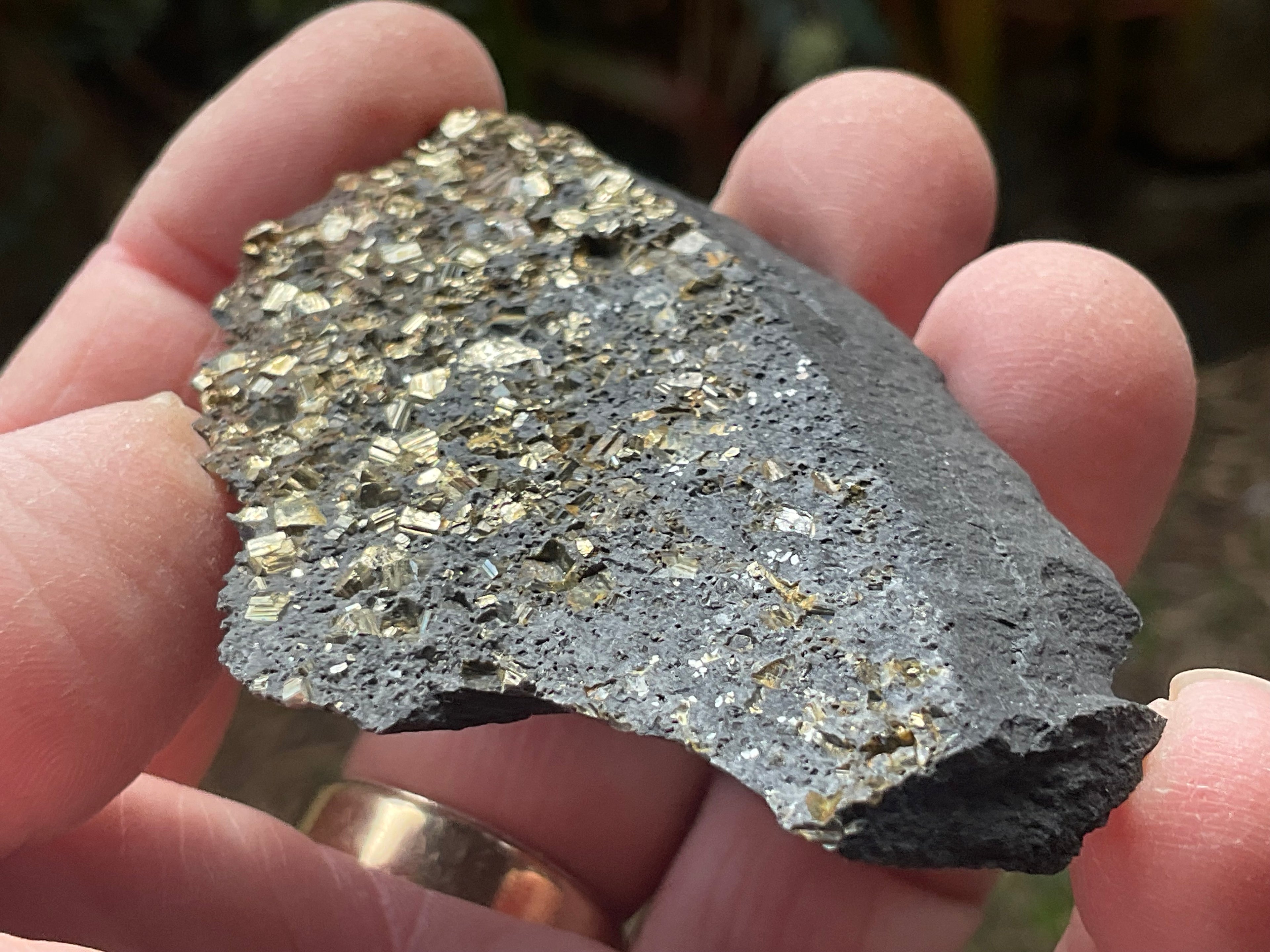 44g Tasmanian Cubic Pyrite Specimen 1A