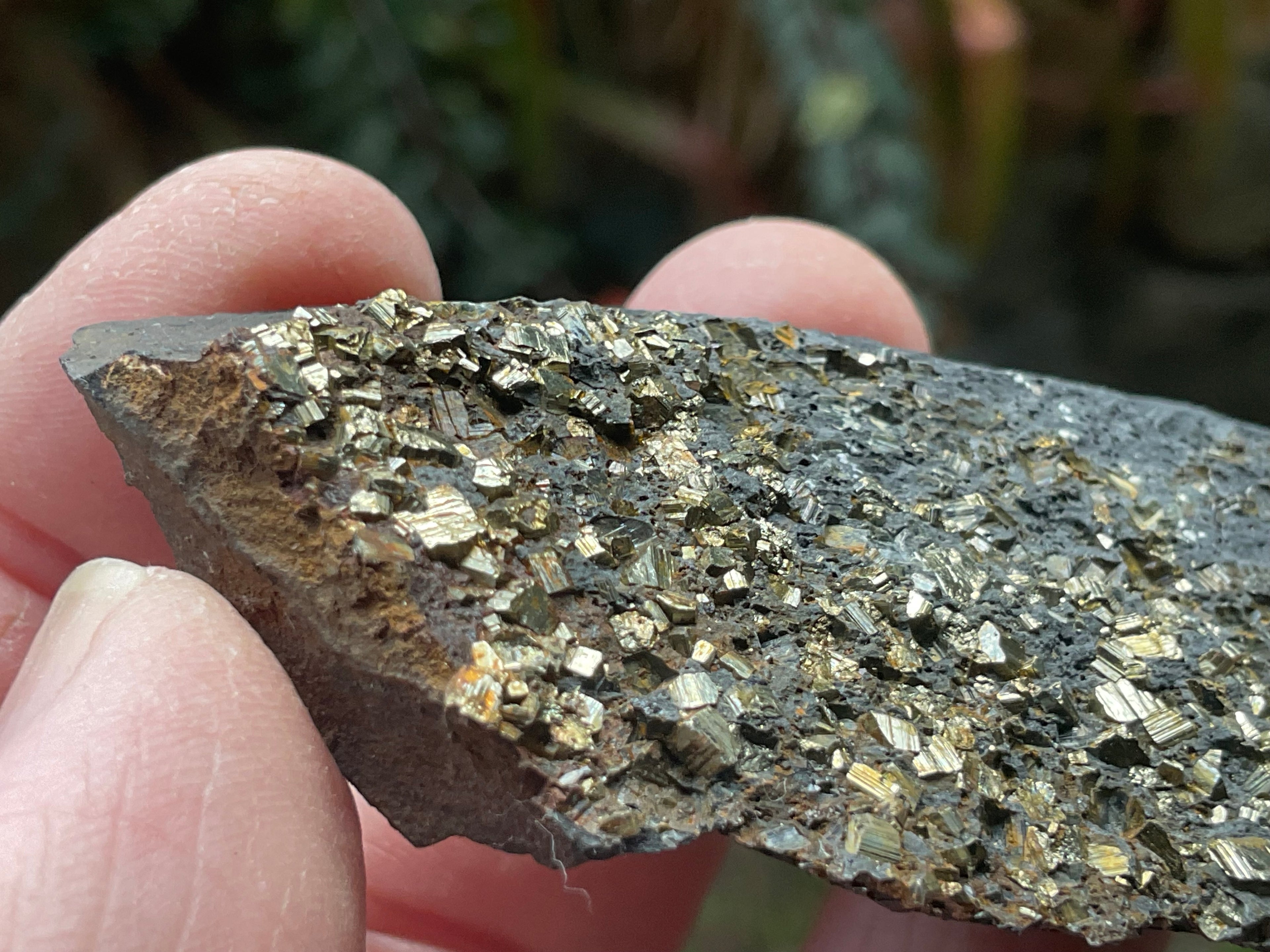 44g Tasmanian Cubic Pyrite Specimen 1A