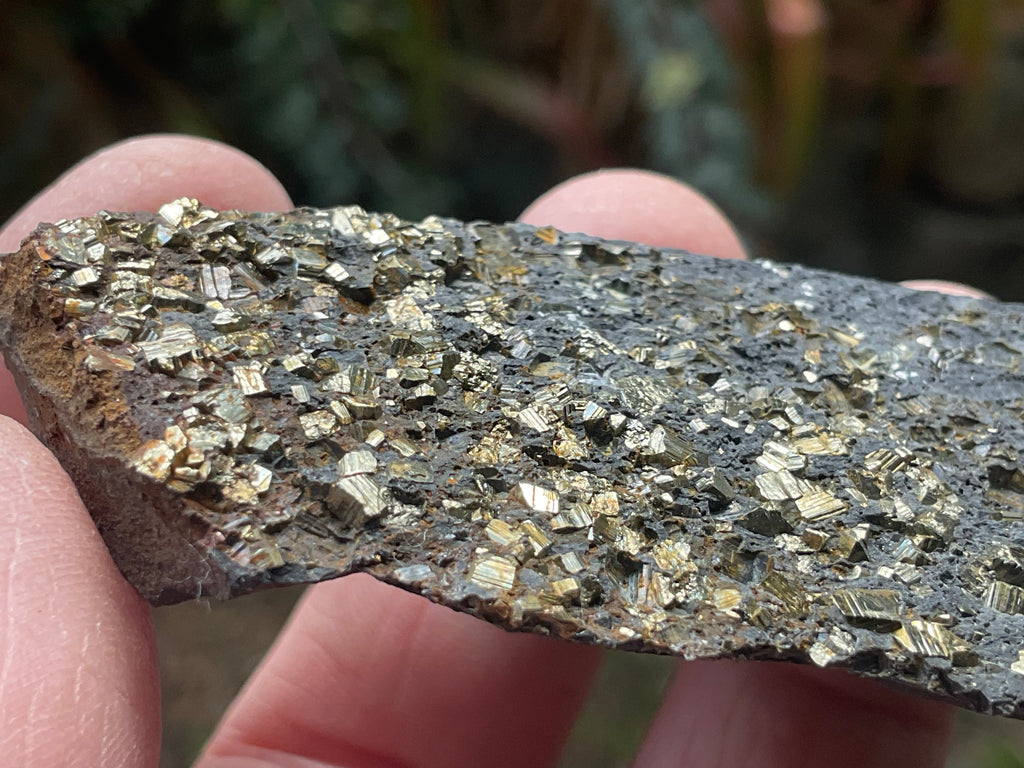 44g Tasmanian Cubic Pyrite Specimen 1A