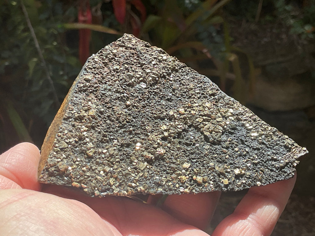 260g Tasmanian Cubic Pyrite Specimen