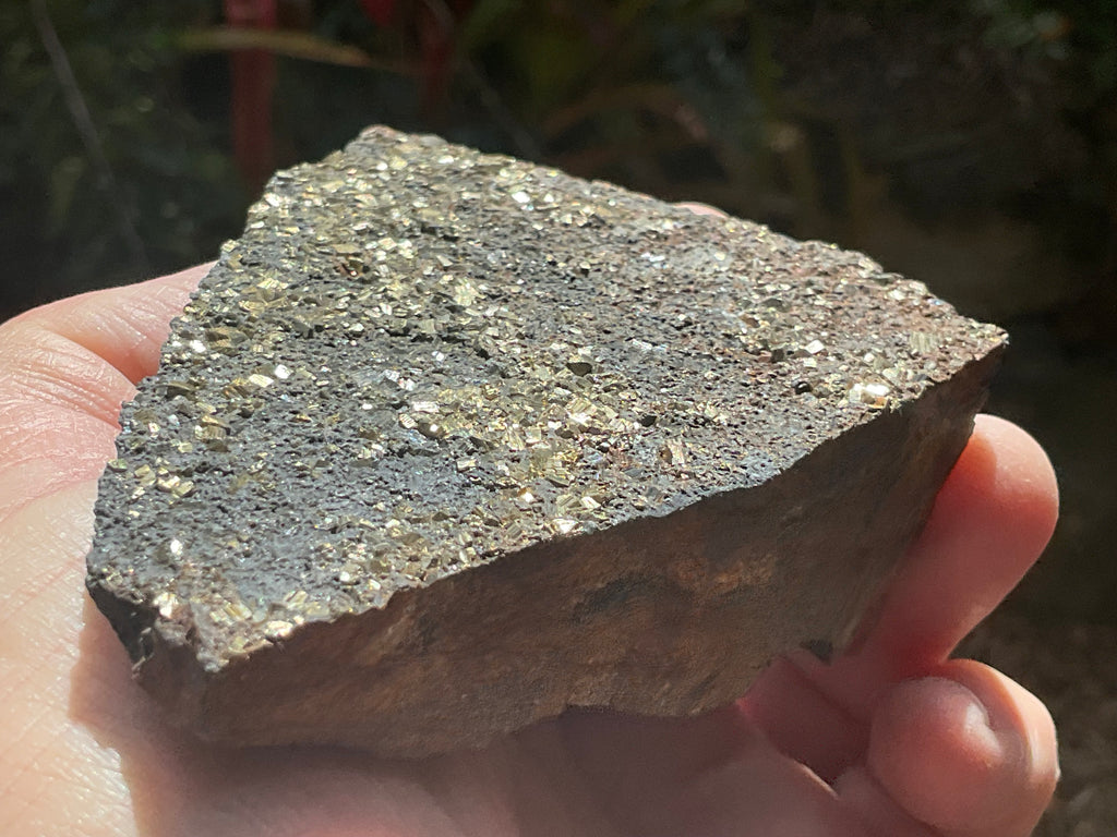 260g Tasmanian Cubic Pyrite Specimen