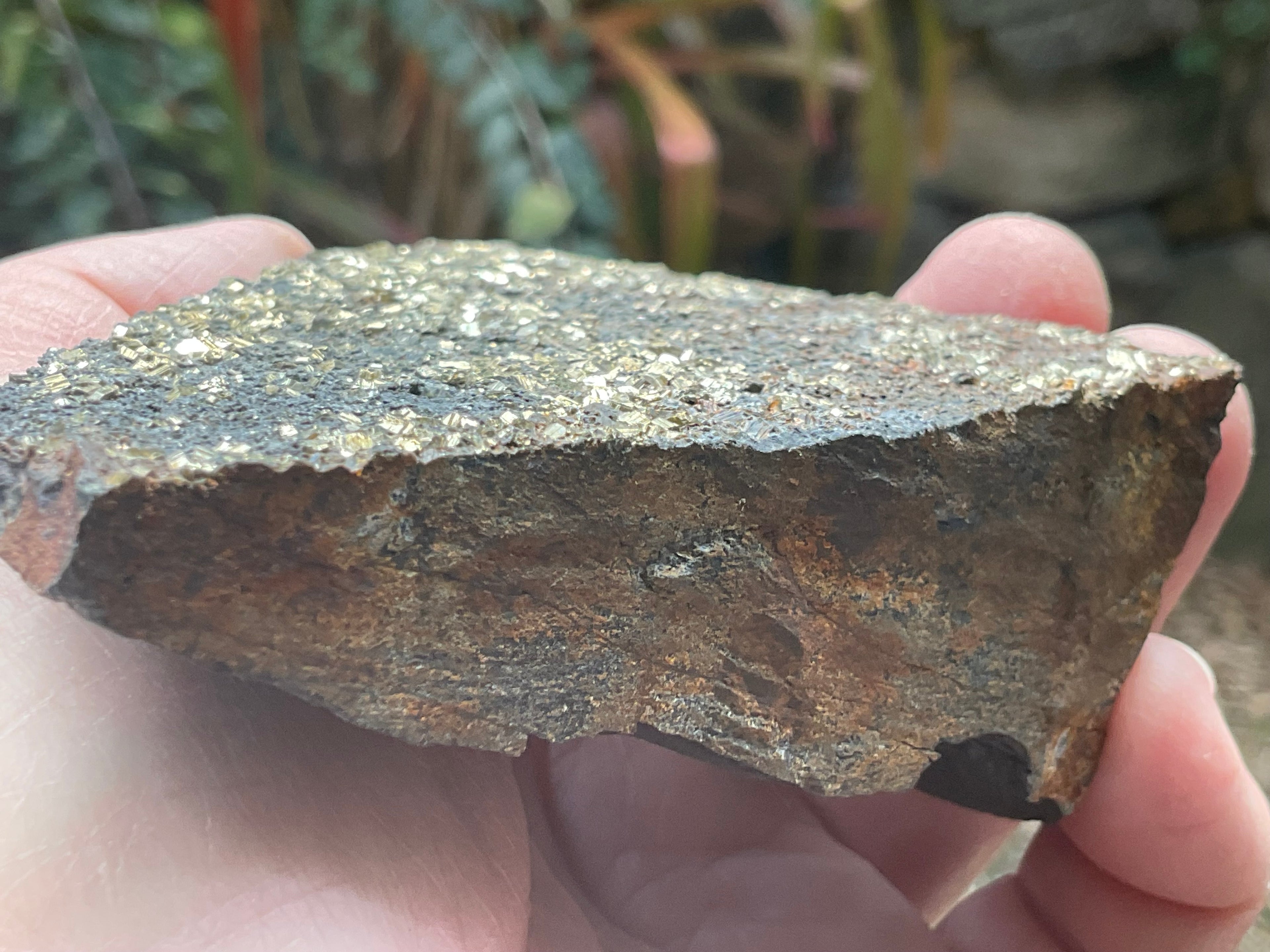 260g Tasmanian Cubic Pyrite Specimen