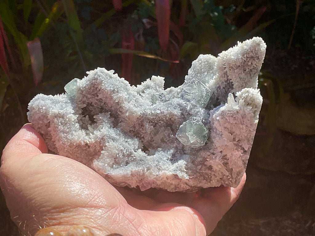 514g Green and Purple Fluorite on Druzy Quartz/Chalcedony from Fujian, China