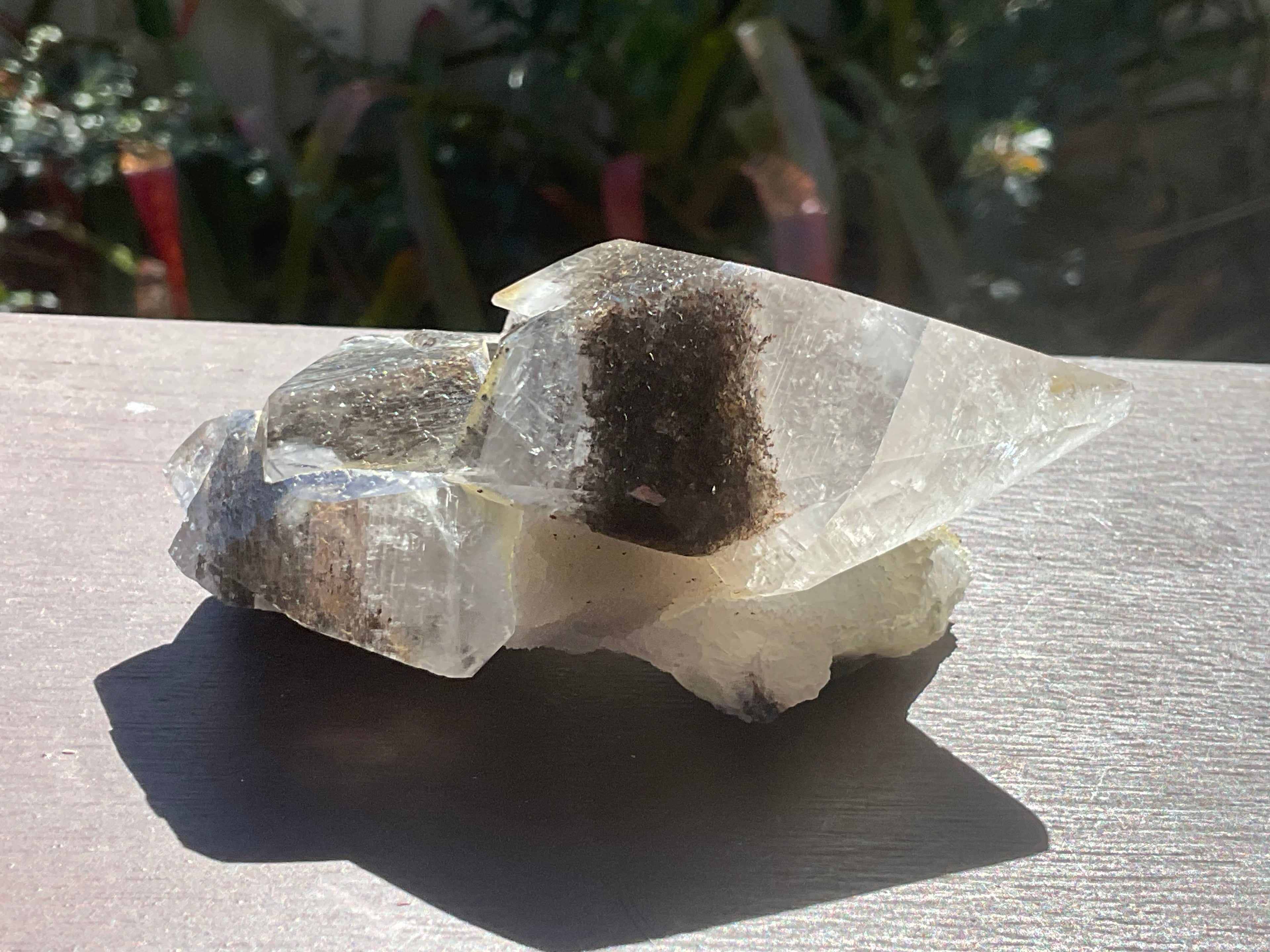 228g Dendritic Dog Tooth Calcite specimen from Fujian, China