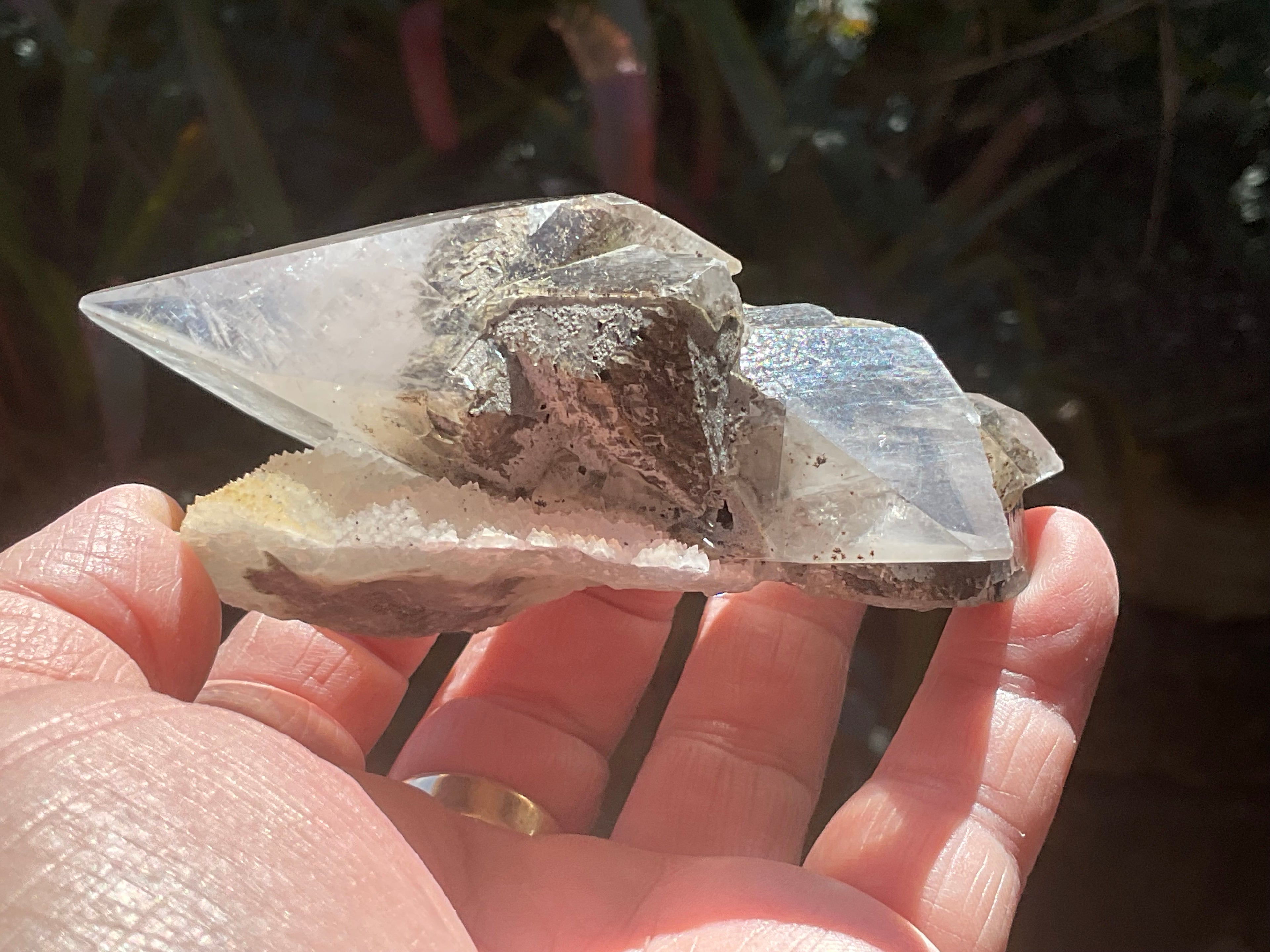 228g Dendritic Dog Tooth Calcite specimen from Fujian, China