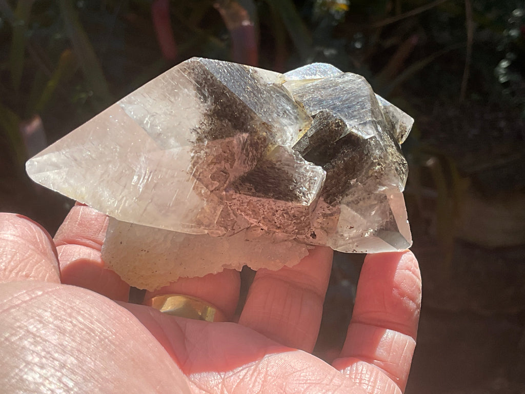 228g Dendritic Dog Tooth Calcite specimen from Fujian, China