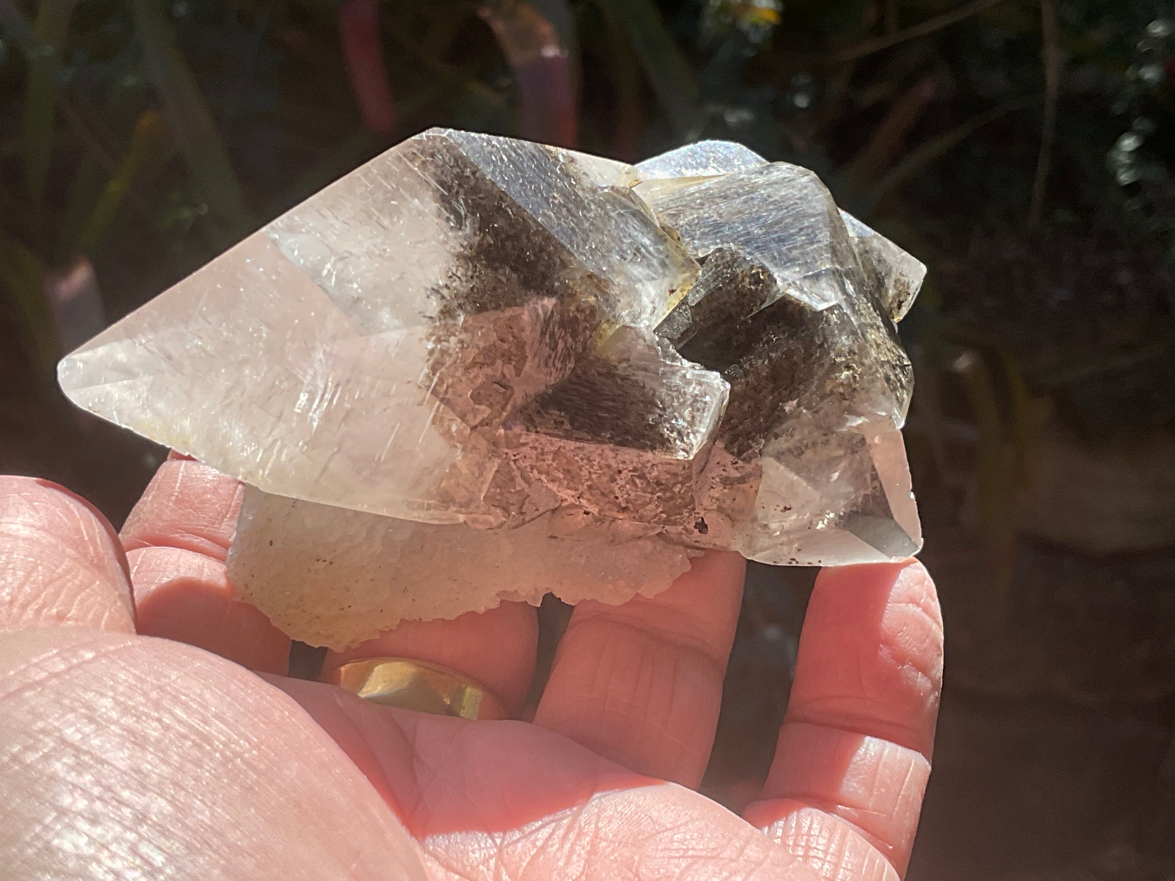 228g Dendritic Dog Tooth Calcite specimen from Fujian, China