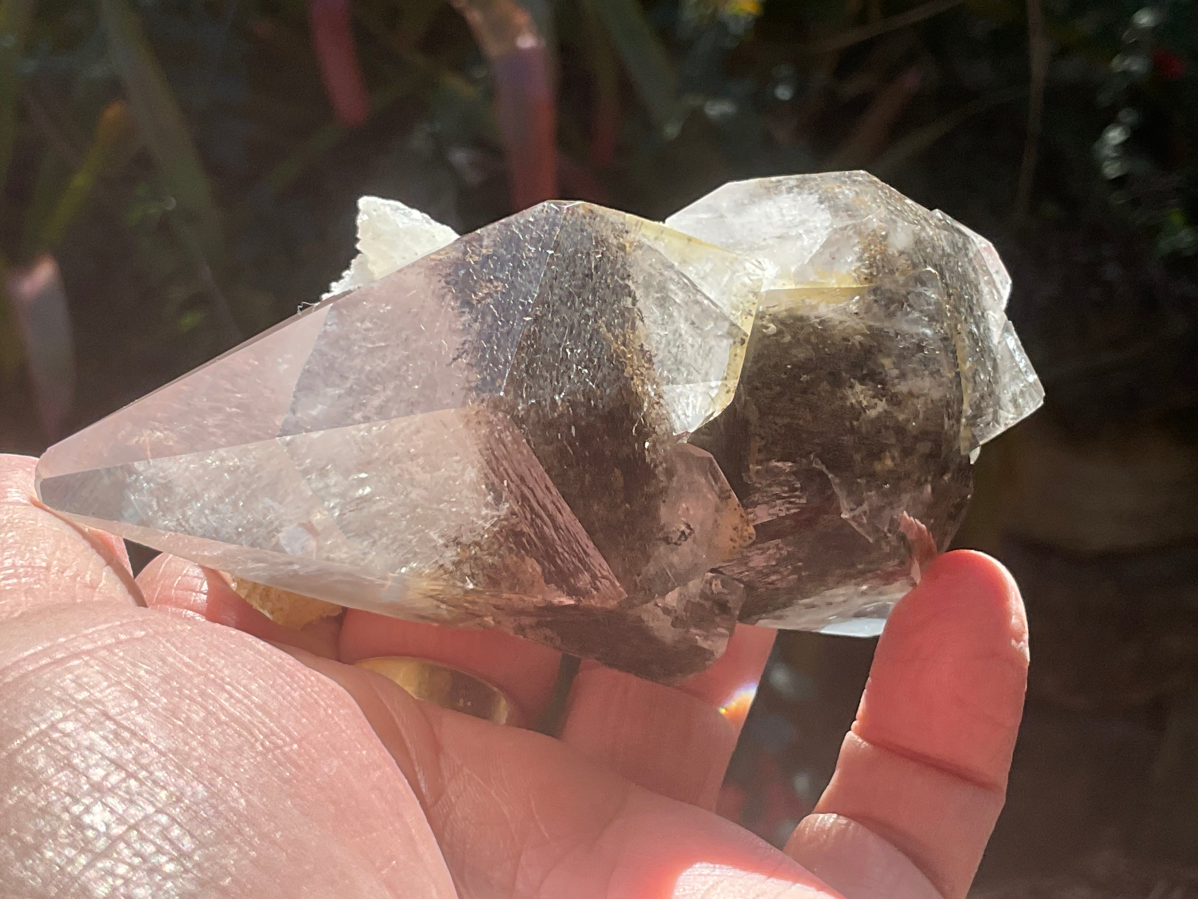 228g Dendritic Dog Tooth Calcite specimen from Fujian, China