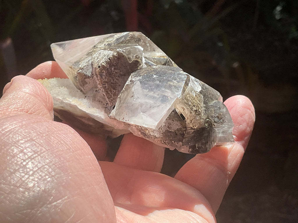228g Dendritic Dog Tooth Calcite specimen from Fujian, China