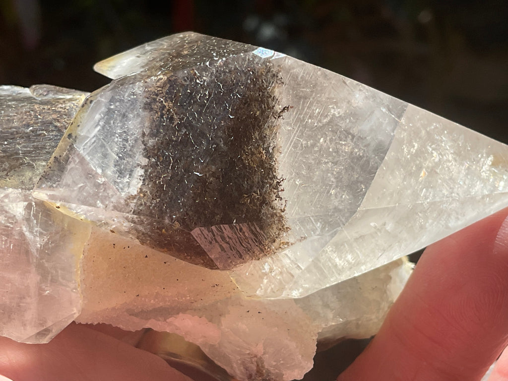 228g Dendritic Dog Tooth Calcite specimen from Fujian, China